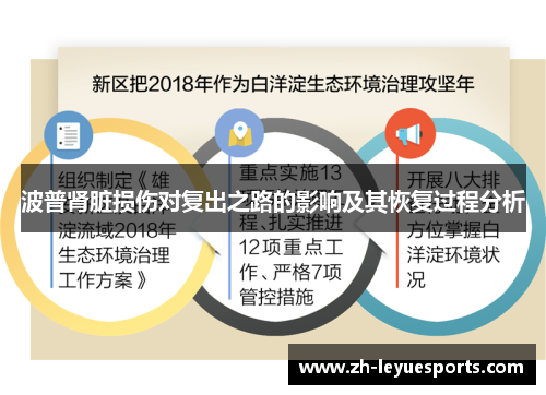 波普肾脏损伤对复出之路的影响及其恢复过程分析