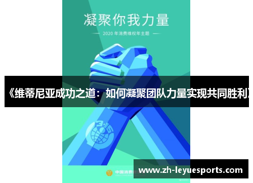 《维蒂尼亚成功之道：如何凝聚团队力量实现共同胜利》