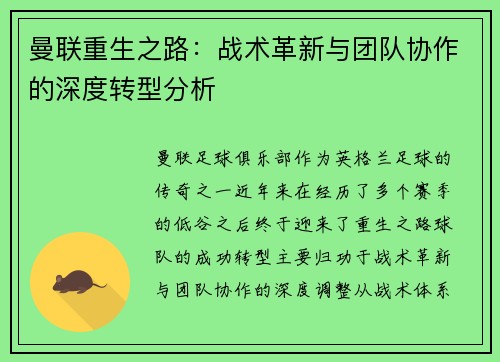 曼联重生之路：战术革新与团队协作的深度转型分析